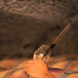 Crozes hermitage ©Lucie Francillard CDL 2836