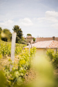 Crozes hermitage ©Lucie Francillard CDL 3008