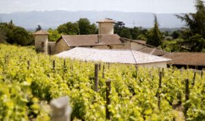 Crozes hermitage ©Lucie Francillard CDL 3027 2