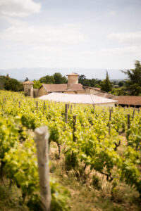 Crozes hermitage ©Lucie Francillard CDL 3027