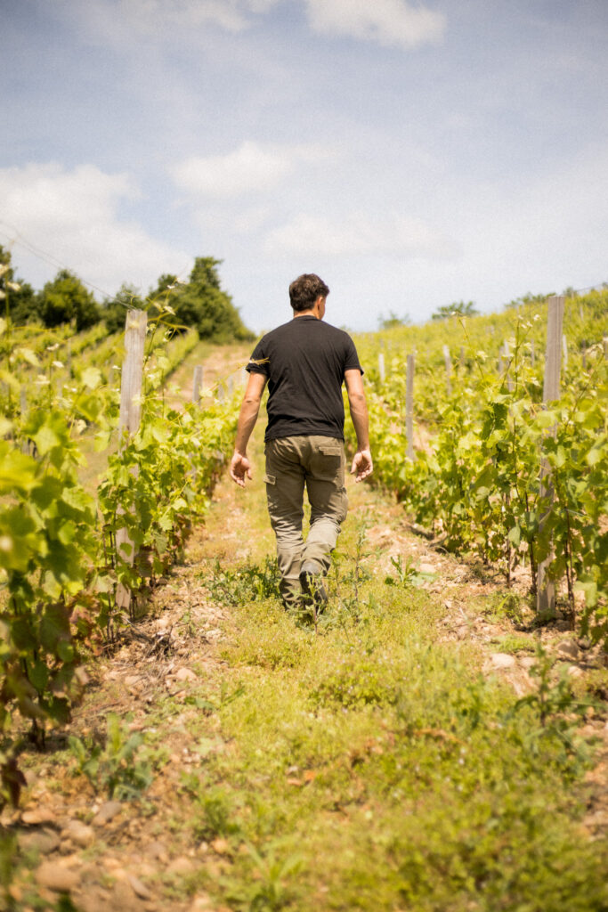 Crozes hermitage ©Lucie Francillard CDL 3160